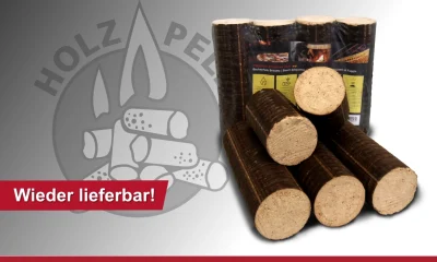 Buchenbriketts