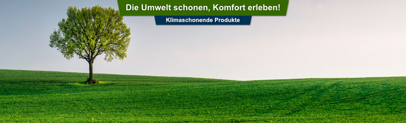 Grüne Landschaft mit einem Laubbaum