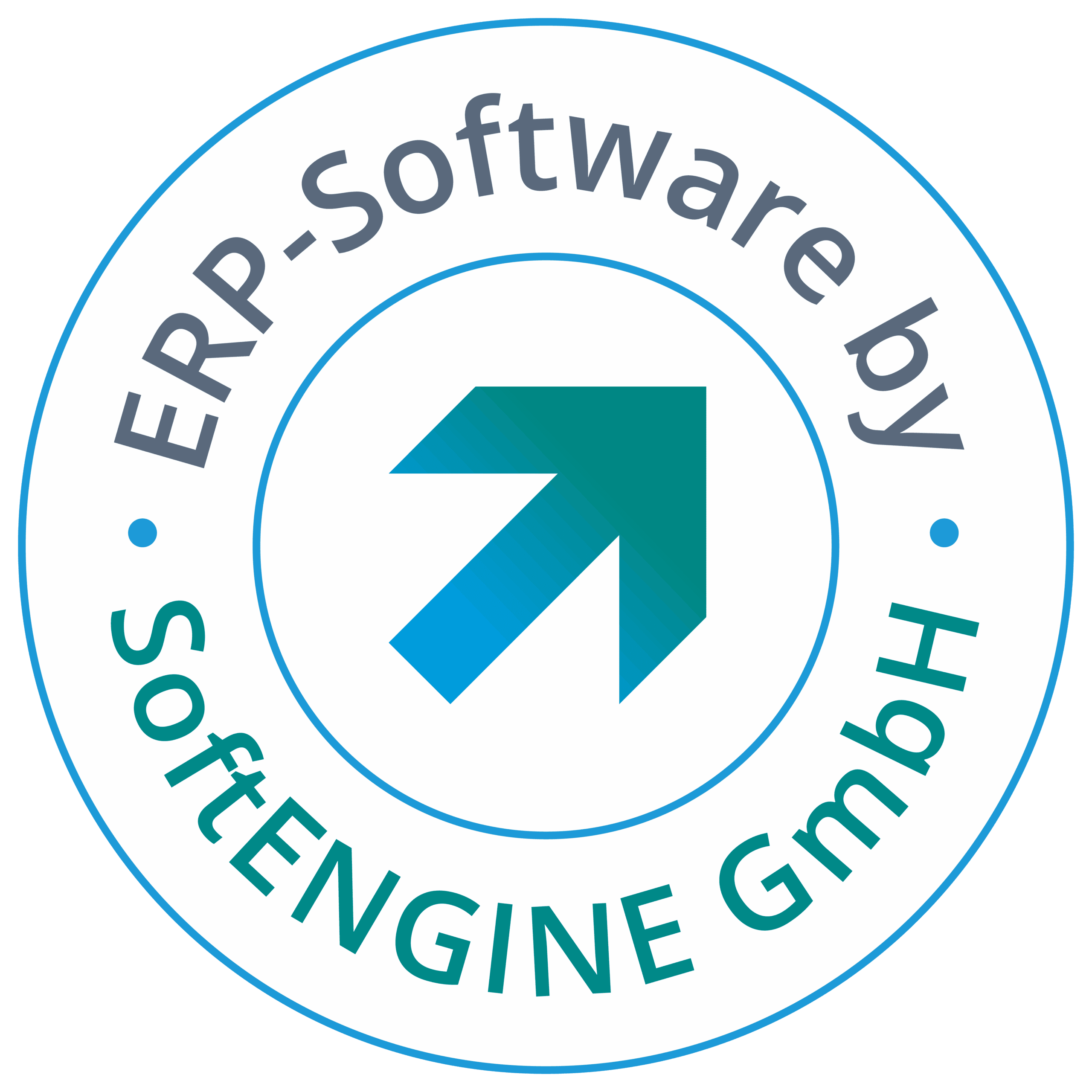 SoftENGINE